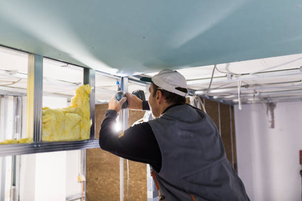Best Specialized Insulation Services in South Bend, IN