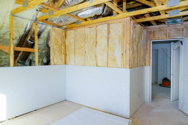 Best Eco-Friendly Insulation in South Bend, IN